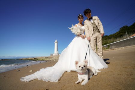 【洋装１点】海ロケーションプラン　「野間灯台」