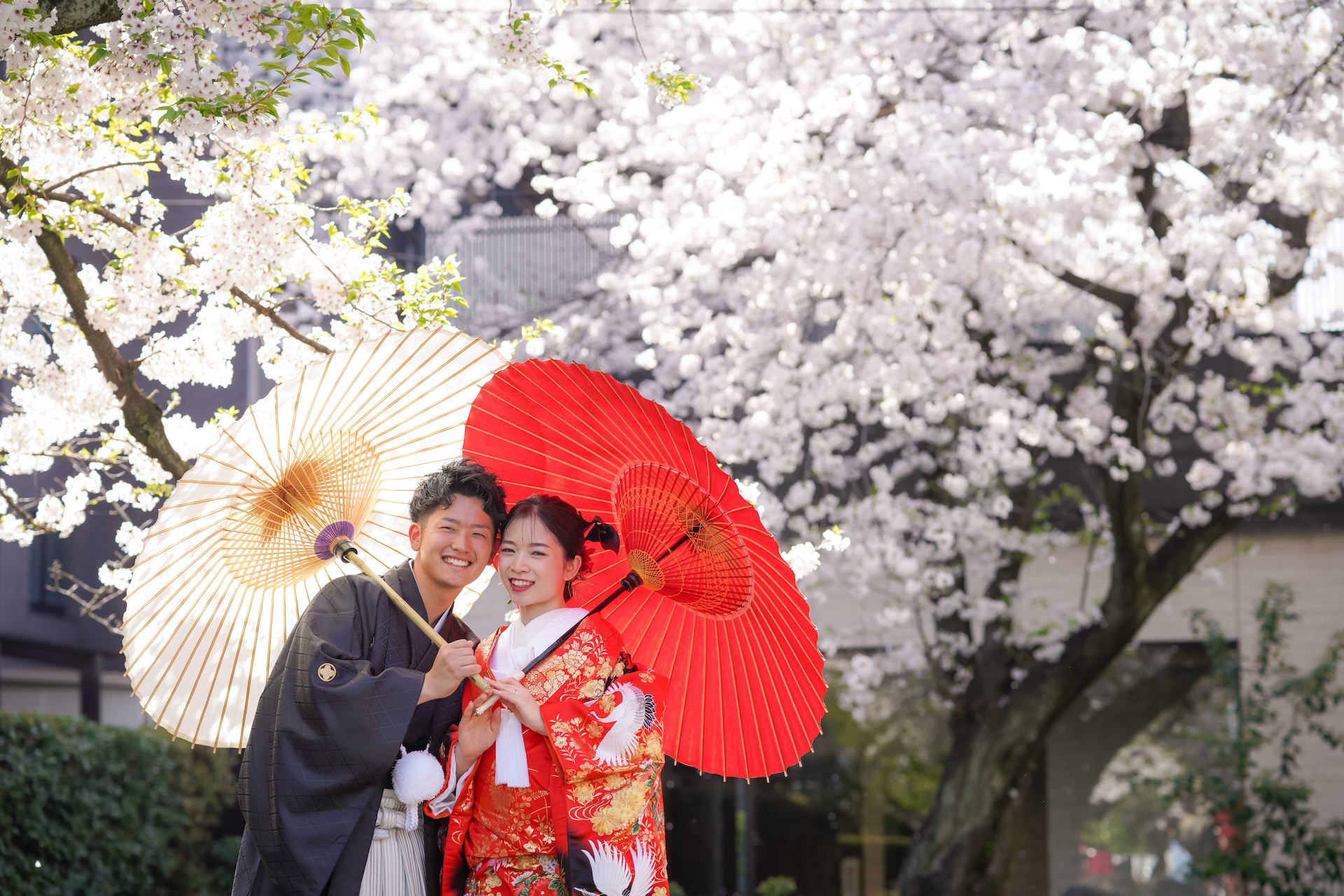 桜の予約始まってます