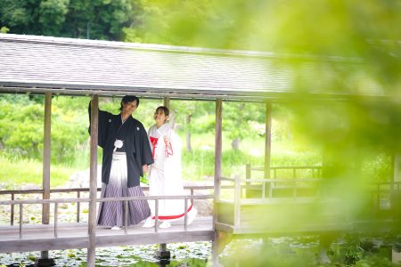 【白鳥庭園で新緑前撮り】今がチャンス！6月6日限定の撮影枠が空いています📷🌿