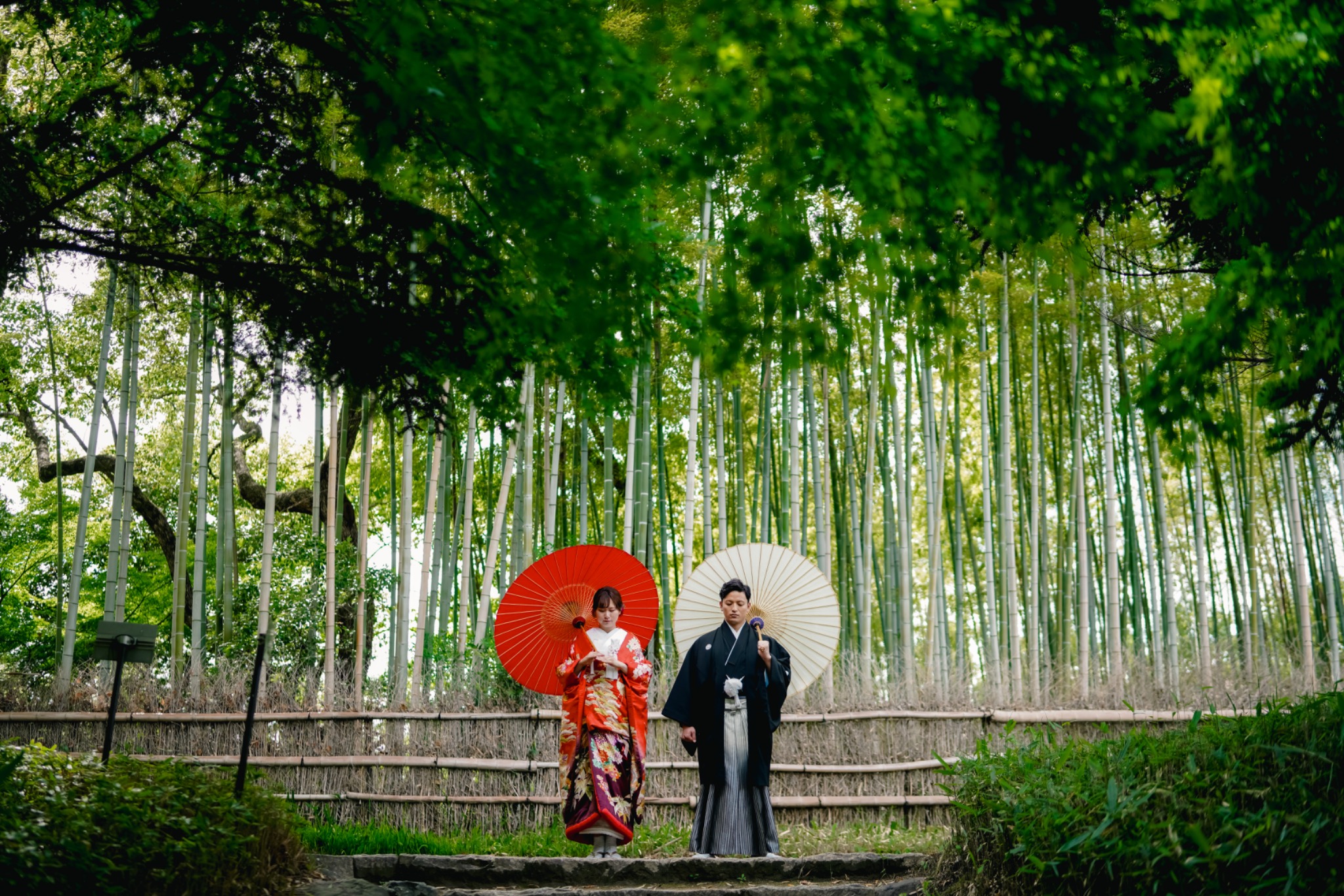 🌿【11/1(土)限定】白鳥庭園フォトウエディング撮影枠 残りわずか！名古屋で叶える特別なロケーション撮影📸