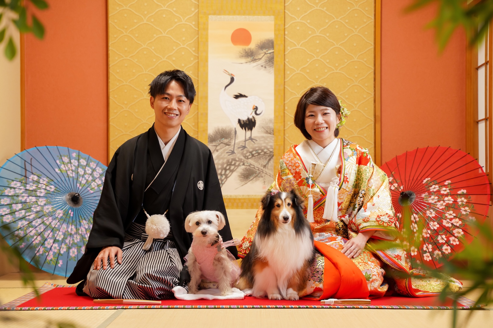 【2025年総括】フォトウエディングの衣装は何を選べばいい?後悔しないポイント💍👗 名古屋フォトスタジオcarpediem(カルぺディエム)📸✨