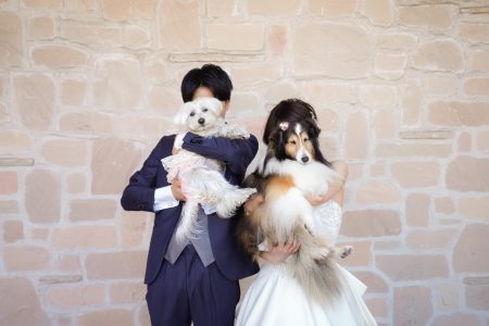 【名古屋フォトウェディング】自然体でおしゃれに✨carpediem（カルぺディエム）が選ばれる理由とは？