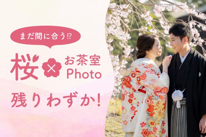 白無垢＋色打掛の２着で【さくら】お茶室のある桜前撮りプラン　￥155,000